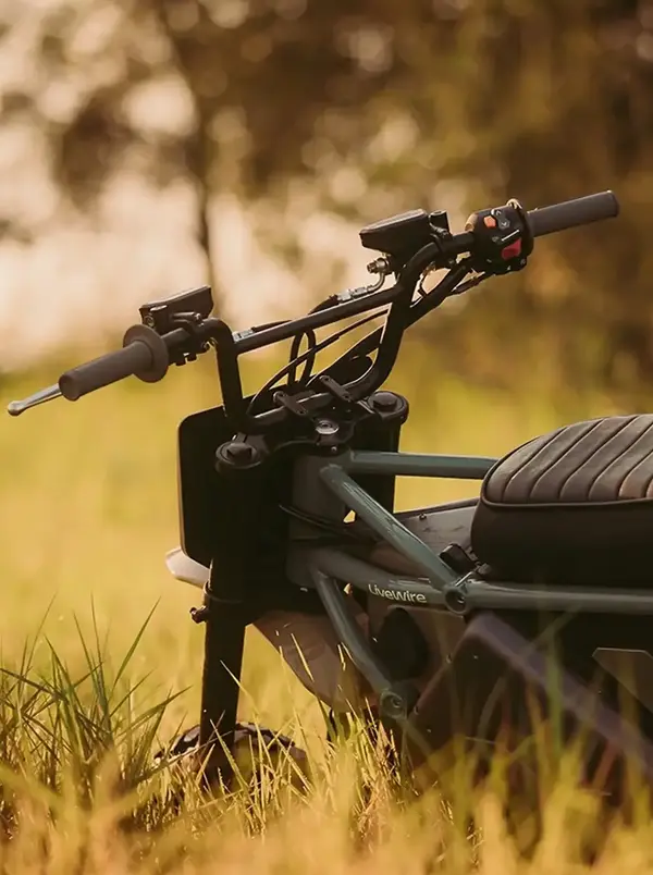 Scooter electrique S4 Honcho Livewire 12