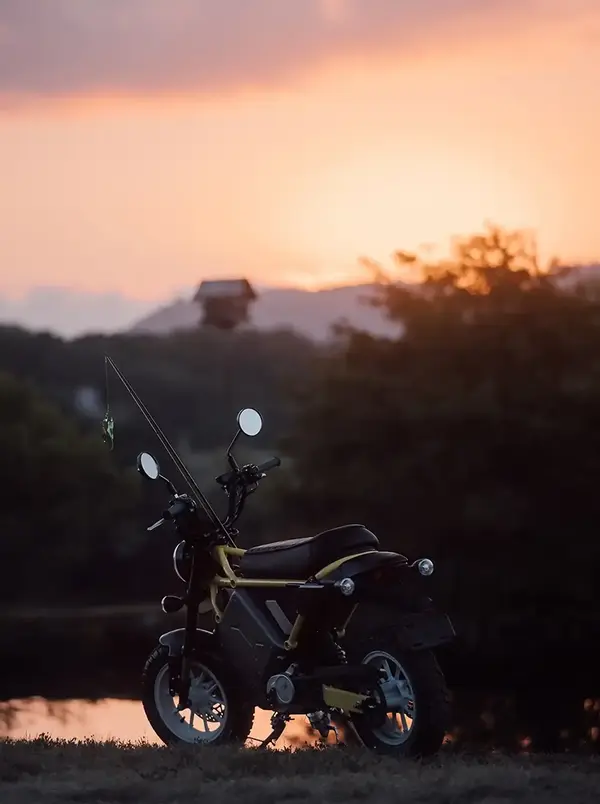 Scooter electrique S4 Honcho Livewire 7