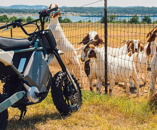 Scooter electrique S4 Honcho Livewire 0