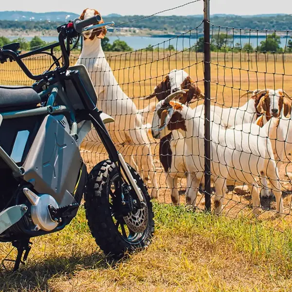 Scooter electrique S4 Honcho Livewire 0